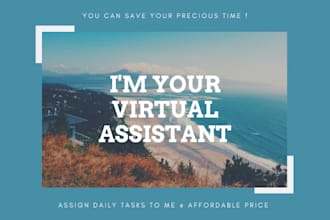 provide virtual assistance VA for any task
