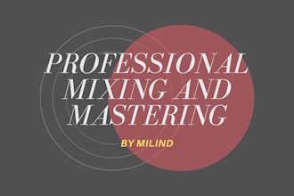 professionally mix and master your song using hardwares