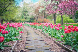 be your blog writer for lawn, landscaping, gardening, and houseplants topics