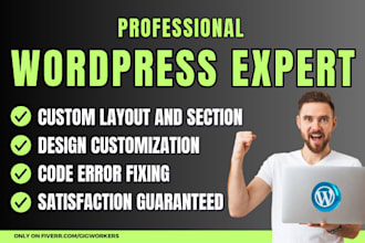 fix wordpress bugs, will do customization and custom coding