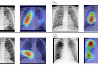 do medical image classification, segmentation, and detection