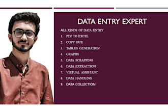 do effective data entry, data mining on excel