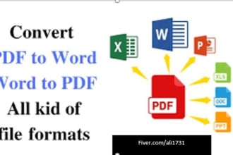 convert pdf to word, retype or recreate scanned PDF documents