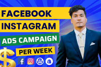 do facebook marketing, advertising, manage fb and ig ads campaign