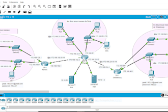 do networking tasks and cisco packet tracer projects