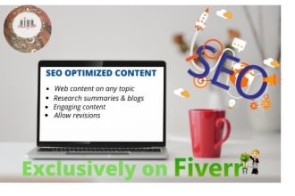 do SEO article writing in 24 hours