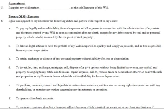 draft professional employment contract and review
