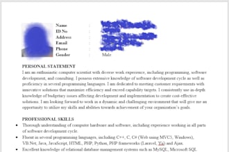 write a professional CV