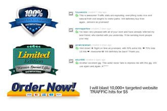 blast 10,000 targeted website TRAFFIC hits