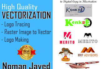 craft vector, conversion to high resolution, ai vector art file
