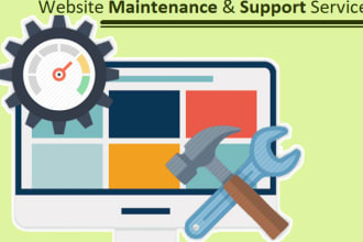 provide yearly wordpress support plan