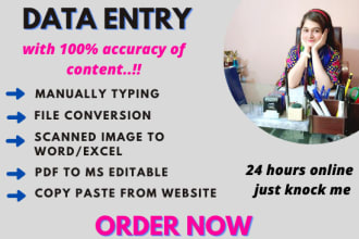 do manual typing, PDF to word, handwritten text and file conversion