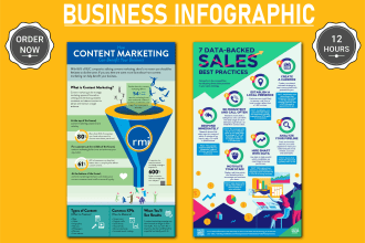 design unique  business infographic in 12 hours