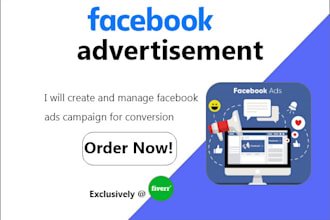 create and manage facebook ads campaign for conversion