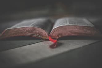 be your beta reader, critique and will provide feedback