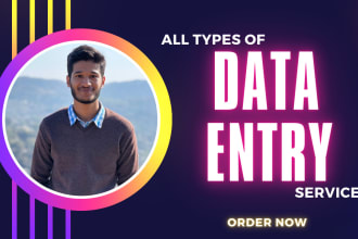 do any data entry work accurately
