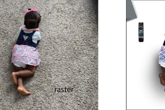 vectorise,resize,clean up  your artwork