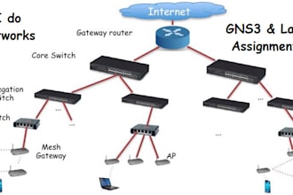 provide you expert solutions  of networking problems