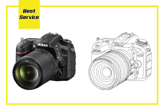 draw detailed photo into vector line art illustration