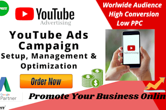 setup, manage and optimize video ads campaign on youtube