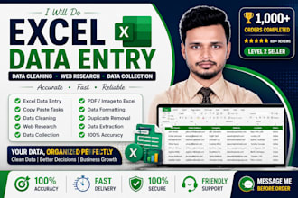 do accurate excel data entry, data cleaning and web research