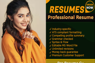 write, edit your executive CV, resume, cover letter