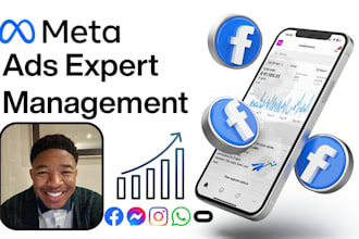 manage meta paid ads campaigns on social media