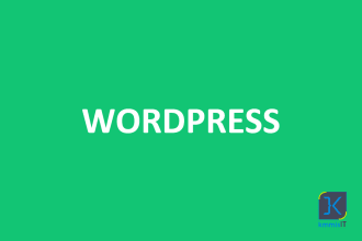 fix any wordpress error, critical issue, or website problem fast