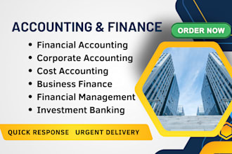 do accounting and finance assignments, financial analysis report, excel projects