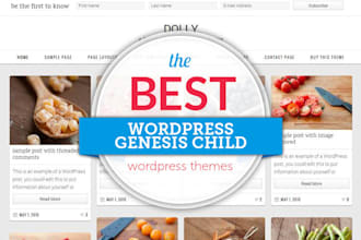 install lifetime premium genesis themes installation wordpress