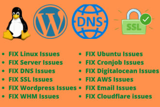 fix vps, linux, dns, whm, SSL, wordpress related issues