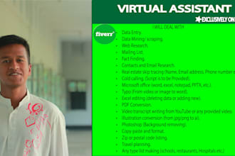 be your professional virtual assistant for administration