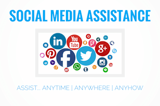 provide social media assistance