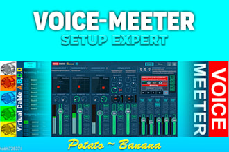 setup voicemeeter potato or banana for single or dual pc