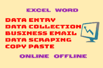 do excel and word data entry