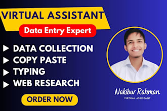 do online offline excel data entry, data collection, web research