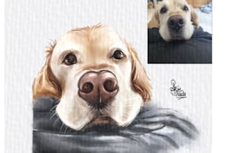 turn any portrait into a unique colorful portrait