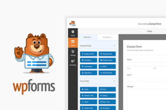 make and design a form in wordpress within 1 hour