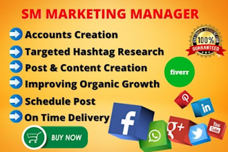 be your social media marketing manager and content creator