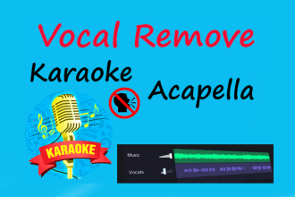 remove vocal  from a song in less than 1 hour