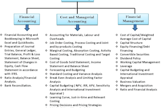 provide you accounting and finance services