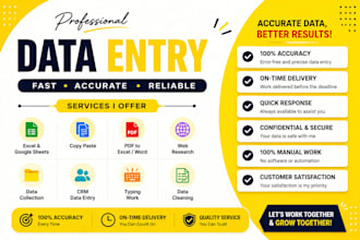 do perfect data entry, typing and copy paste jobs