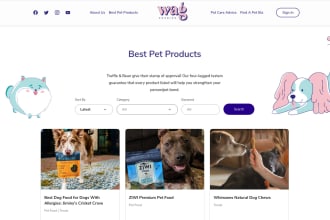 fix html, css, javascript, vuejs and nuxtjs bugs