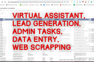 be your 24 hours virtual assistant for admin task