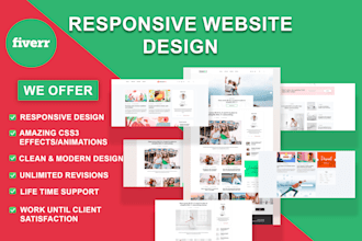 create a professional and responsive website design or redesign