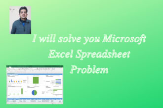 do any excel spreadsheet projects and assignments