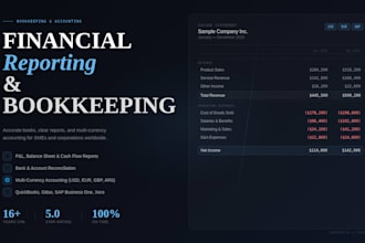do bookkeeping, financial reports and accounting services