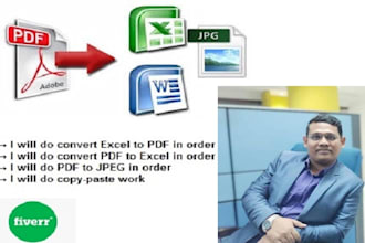 do excel to PDF, PDF to jpeg, excel, copy paste work for you
