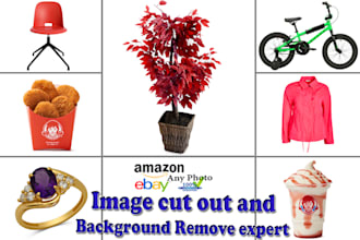 do image cut out and background remove expert 24 hours