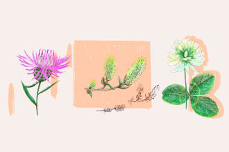 floral illustration commercial use